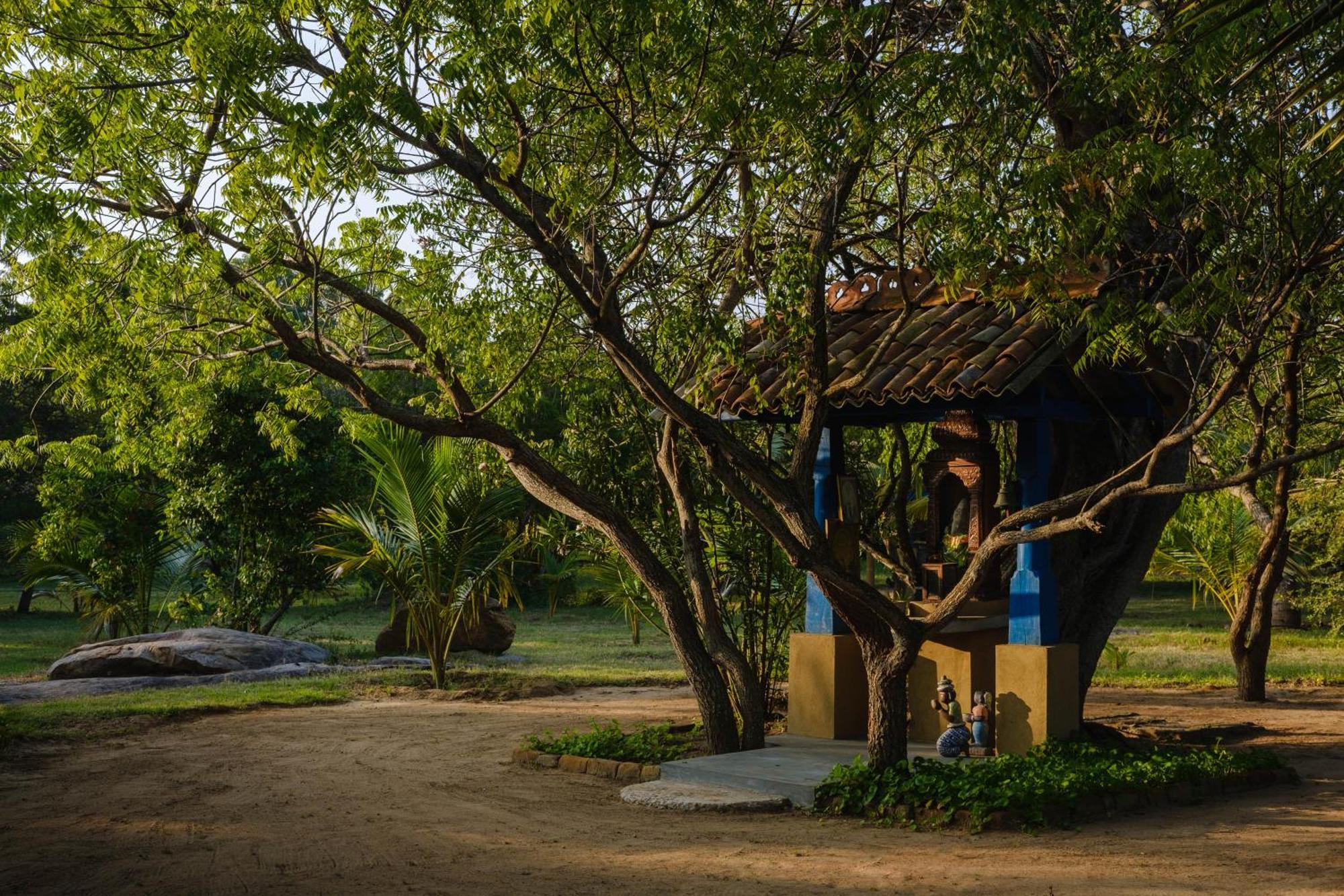 Treasure Rock Bed & Breakfast Kirinda  Dış mekan fotoğraf